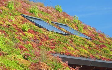 Crowgreaves living roof systems